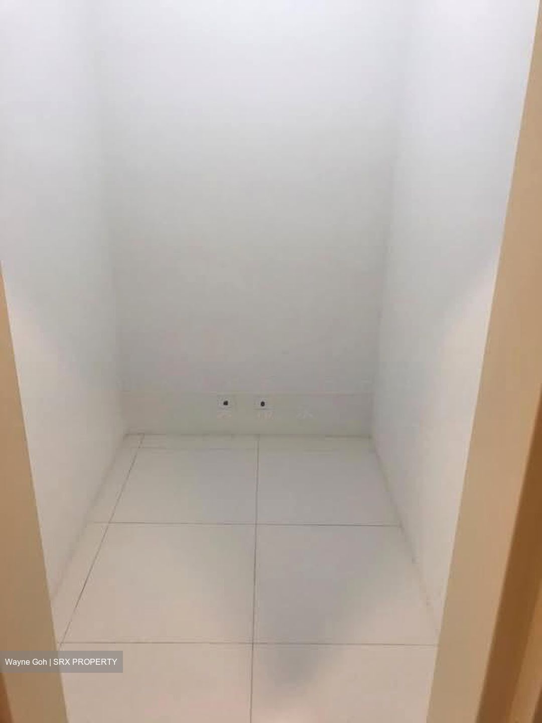The Rise @ Oxley - Residences (D9), Apartment #576124941